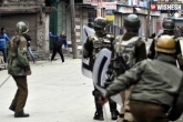 Gunfight in Kashmir, protest, gunfight in kashmir 3 let militants killed, Militants killed