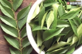 Diet And Fitness, Diet And Fitness, the five amazing health benefits of curry leaves, Fitness