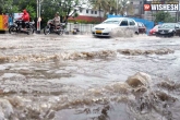 Rain, aerial survey, heavy rainfall for next 3 days in andhra pradesh, Radha mohan