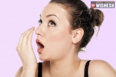 Home Remedies For Bad Breath/ Halitosis, Home Remedies For Bad Breath/ Halitosis, the best eight home remedies for bad breath halitosis, Bad breath