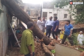 Greater Hyderabad Municipal Corporation, Hyderabad rains updates, 162 trees in hyderabad uprooted due to heavy rains, Greater hyderabad municipal corporation