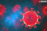SCIR, Coronavirus news, hyderabad scientists find new variant for coronavirus, Scientists