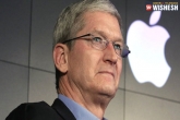 Tim Cook new, Tim Cook next, tim cook reveals why iphones are not hot in indian markets, Iphone 13