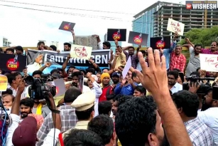 IT Employees Protests For Babu: We Are With CBN