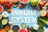 Immunity boosting foods latest updates, Immunity boosting foods breaking news, four immunity boosting foods to fight illness, Coronavirus