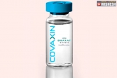 COVAXIN updates, corona vaccine, india s first coronavirus vaccine set for human trials, Covaxin