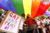 Rajya Sabha, LGBT, india to decriminalise section 377, Sadananda gowda