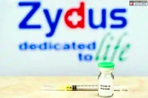 Coronavirus India, ZyCoV-D breaking news, indian government approves first coronavirus vaccine for children above 12 years, Hca