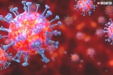 Israel, Naftali Bennett, israel develops an antibody that attacks and neutralizes coronavirus, Neutral ph