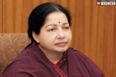 J Jayalalithaa death investigation, J Jayalalithaa health, no govt panel doctor saw jayalalithaa in hospital, Jayalalithaa s health