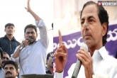 Warangal by-polls, Jagan, finally jagan criticizes kcr, Criticize