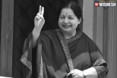 Madras High Court, J Krishnamoorthy, man claims himself to be jayalalithaa s son hc threatens to put him in jail, Documents