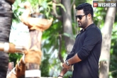 Tollywood gossips, NTR new movie details, that is not jr ntr s stamina, Stamina
