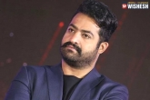 NTR new film, NTR news, ntr s lean transformation to surprise the audience, Audience