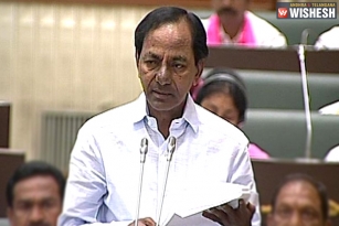 Telangana Chief KCR Announces Budget Of The Year