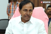 1 Lakh Prize Money For Drug Informers, Telangana Government, kcr announces 1 lakh prize money for informers against drugs, Prize money