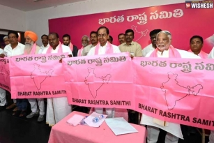 KCR Unveils the Flag of BRS