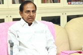 KCR, BRS, kcr to campaign for parliament polls, Parliament
