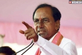 Telangana polls updates, TDP, voters are not mature enough says kcr, Voters