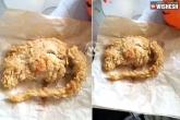 food controversy, Controversy, kfc serves rat instead of chicken, Kfc