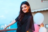 Kajal Aggarwal, Kajal Aggarwal news, kajal aggarwal to marry a businessman, Itc