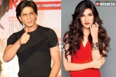 Dilwale, Shah Rukh Khan, king khan wished kriti sanon on twitter, Rohit shetty
