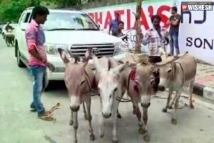 Irresponsible customer care service turns 1 Crore Toyota Land Cruiser into donkey cart