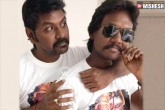 Movie news, Ganga, lawrence brother entry is questioned, Kanchana
