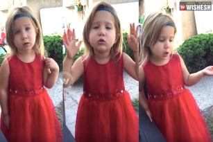 Viral: Little girl explains about the wedding