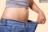 Belly Fat, Belly Fat, how to lose your belly fat, Belly fat