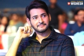 PVP, PVP, mahesh keeps his fans guessing, Pvp
