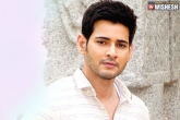 Mahesh Babu, Mahesh Babu new film, india s top cinematographer for mahesh s next, Mahesh babu latest updates