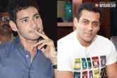 Salman Khan new movie, Brahmothsavam movie, mahesh here salman there, Brahmothsavam