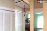 Greenwood, South Carolin, man finds two snakes hanging from ceiling videos goes viral, Ceiling
