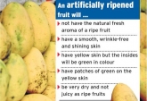 Artifical ripening, Artifical ripening, mango may have harmful gas welding chemical, Calcium