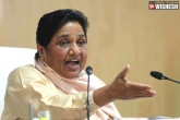 Mayawati updates, Mayawati news, alwar gangrape case mayawati slams narendra modi, Rape case