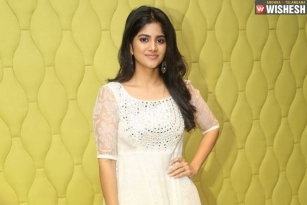 Megha Akash to Romance Akkineni Youngster?