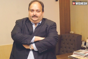 Mehul Choksi&#039;s Assets Worth Rs 24.7 Cr Seized by ED