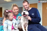 dog microchip, dog microchip, microchip reunites dog with owners after 5 years, Chip