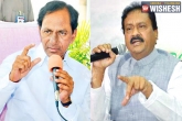 Congress, comment, kcr makes tall claims like a sheik chilli congress leader, Chilli