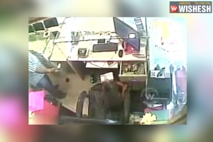 Monkey Steals Rs. 10,000 Cash from Jewelry Shop in Guntur