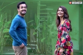 Most Eligible Bachelor first day collections, Akhil Akkineni, most eligible bachelor dominates dasara releases, Akhil akkineni