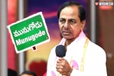 KCR plans for Munugode bypoll, TRS, munugode bypoll to take place in november, Trs