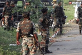 Kokrajhar, Kokrajhar, ndfb s hideouts busted major jolt to militants, Militant