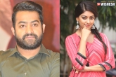 Anu Emmanuel news, NTR next movie, tarak to romance anu emmanuel, Ntr new film