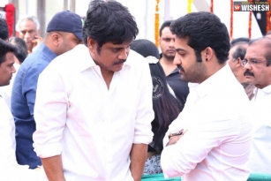 Jr NTR-Nagarjuna markets in dilemma!