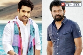 Devi Sri Prasad, NTR movie latest news, ntr sukumar film updates, Ratnavelu