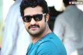 Tollywood gossips, NTR new movie updates, height less hottie in jr ntr s next, Menon