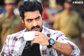 Nannaki Prematho, NTR movie, jr ntr movie flop here blockbuster there, Flop