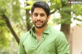 Naga Chaitanya updates, Naga Chaitanya latest, top production house locks naga chaitanya, Merlapaka gandhi